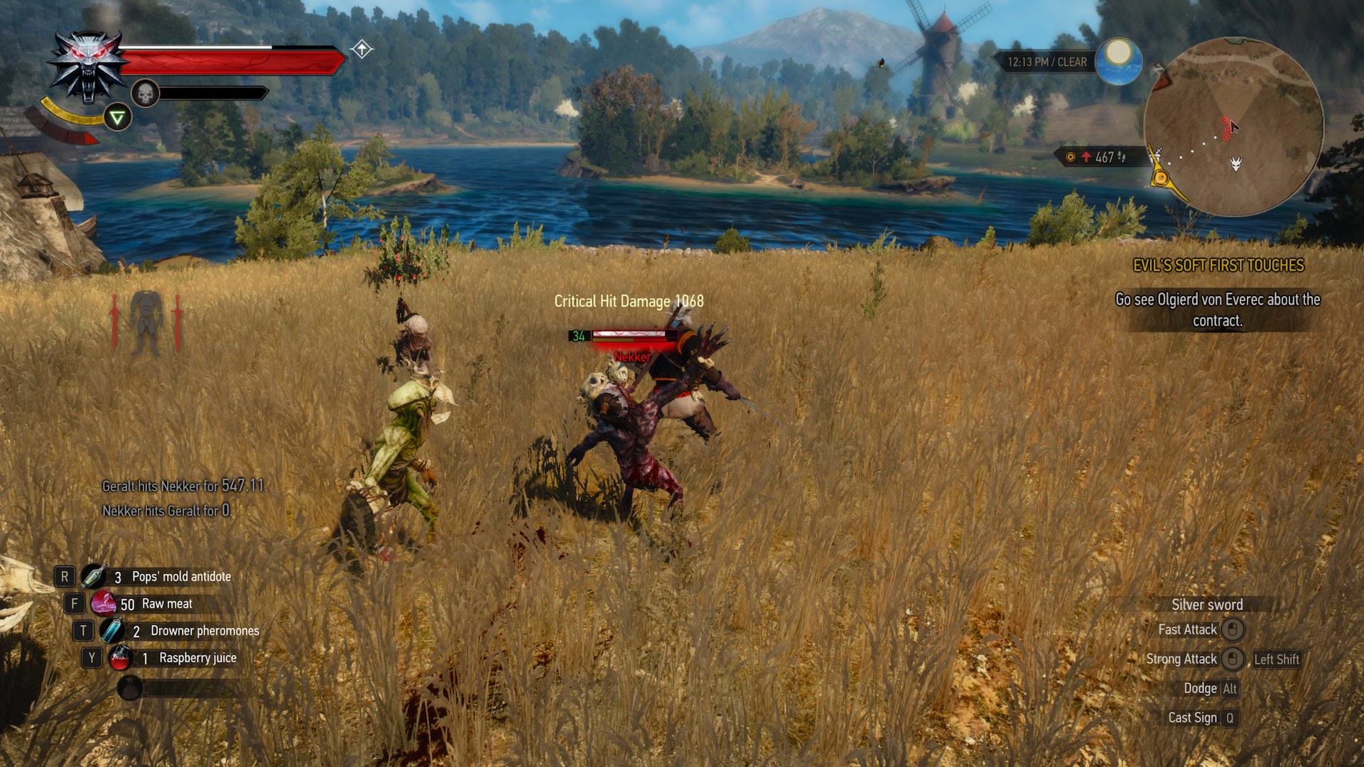 Witcher 3 Fighting