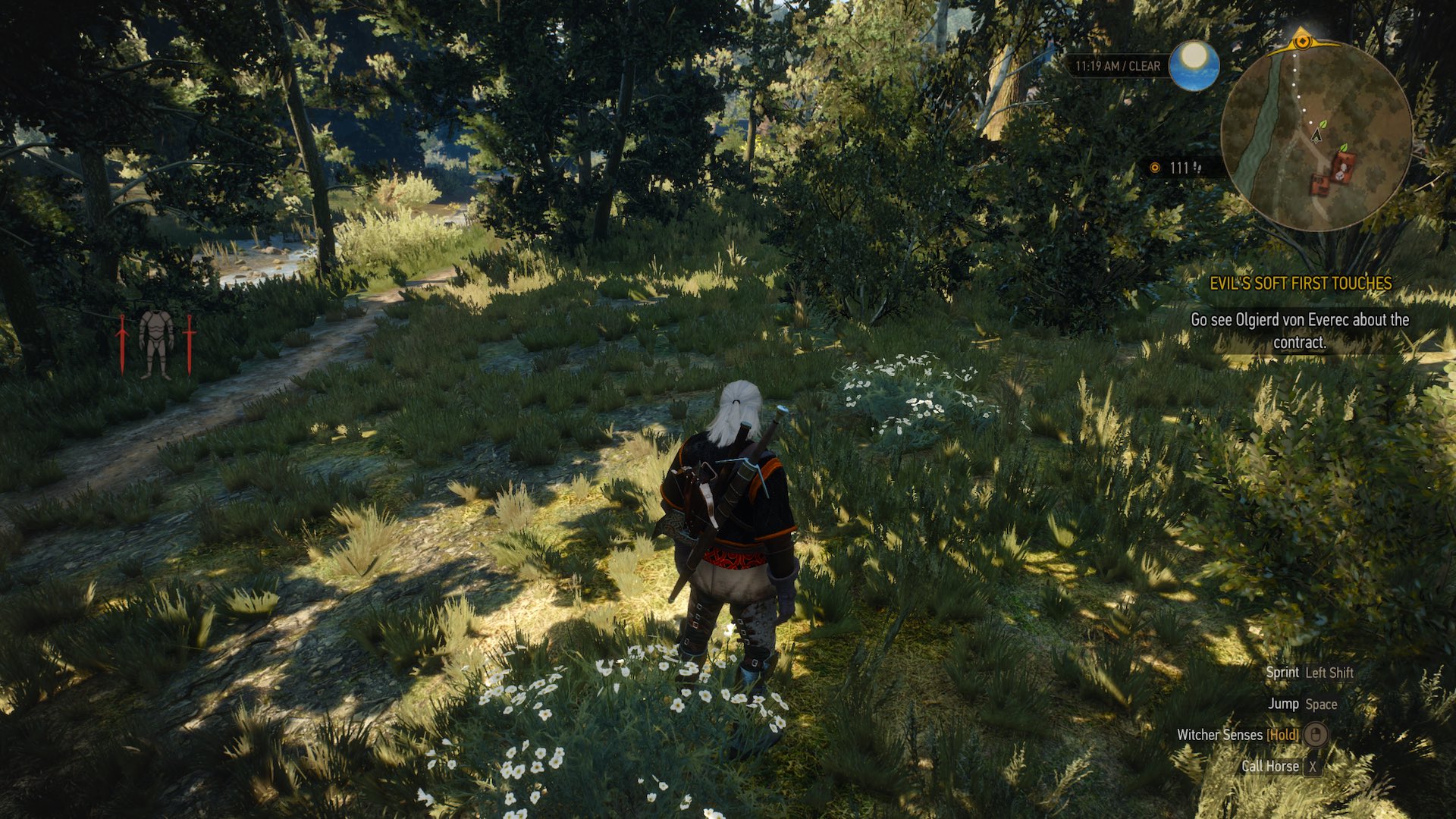 Witcher 3 Forest