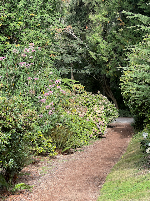 The path around the Arboretum